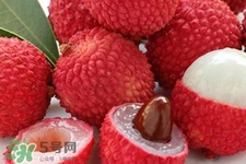 荔枝能放多久？荔枝可以放幾天？