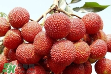 孕期吃荔枝會(huì)流產(chǎn)嗎？孕婦吃荔枝會(huì)好嗎？