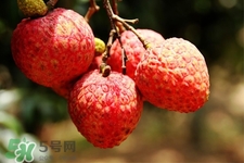 坐飛機(jī)能帶荔枝嗎？荔枝可以帶上飛機(jī)嗎？