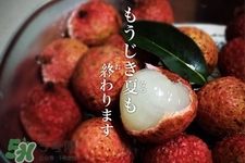 坐飛機(jī)能帶荔枝嗎？荔枝可以帶上飛機(jī)嗎？