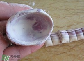 湯圓皮怎么做不破裂？湯圓皮怎么做耐煮？