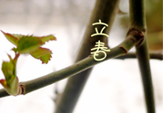 為什么春天容易生??？春天容易生什么病？