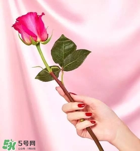 kate spade2017情人節(jié)包包多少錢？凱特絲蓓2017情人節(jié)包包哪里買？