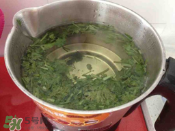 香菜煮水洗腎是真的嗎？香菜煮水洗腎是真的嗎