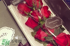 roseonly鮮花怎么保養(yǎng)？roseonly永生花怎么保養(yǎng)？