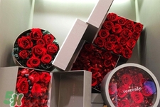 roseonly鮮花多少錢？roseonly永生花多少錢？