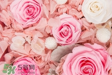 鮮花可以放多久？鮮花可以保存幾天？