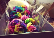 roseonly鮮花多少錢？roseonly永生花多少錢？