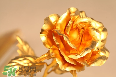 情人節(jié)可以送金玫瑰嗎？情人節(jié)送金玫瑰好嗎？