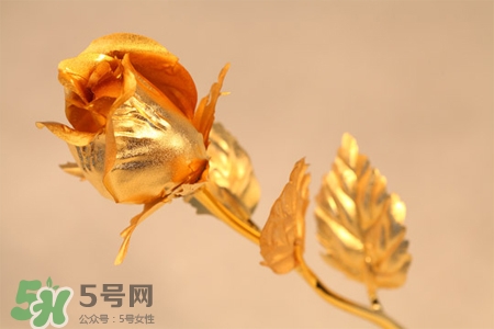 情人節(jié)可以送金玫瑰嗎？情人節(jié)送金玫瑰好嗎？