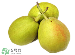 香梨多少錢一斤？香梨怎么挑選？