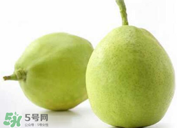 香梨多少錢一斤？香梨怎么挑選？
