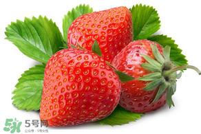 小孩多吃草莓好嗎？小孩可以摘草莓嗎？