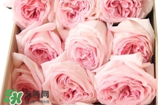 鮮花怎么養(yǎng)？鮮花怎么養(yǎng)放的比較久？