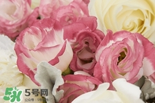 鮮花怎么養(yǎng)？鮮花怎么養(yǎng)放的比較久？