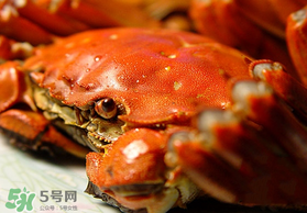 春天的螃蟹能吃嗎？開春后大閘蟹能吃嗎？