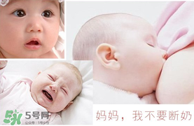 春天可以斷奶嗎？春天幾月份斷奶比較好？