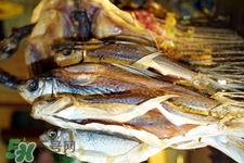 禽流感可以吃魚嗎？禽流感期間能吃魚嗎？