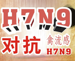 禽流感期間吃什么？預(yù)防禽流感吃什么好？
