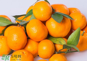 桔子批發(fā)多少錢一斤？桔子多少錢一斤？