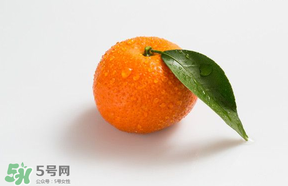 桔子批發(fā)多少錢一斤？桔子多少錢一斤？