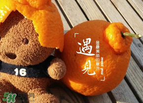 丑橘少錢一斤？丑橘一斤幾個？