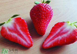 九九草莓多少錢一斤？99草莓價(jià)格是多少？