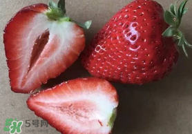 草莓空心能吃嗎？草莓空心怎么回事？