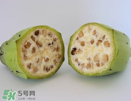 野香蕉可以吃嗎？野香蕉怎么吃？