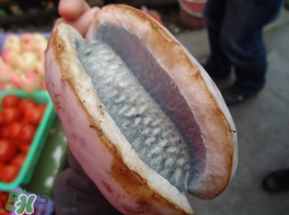 野香蕉可以吃嗎？野香蕉怎么吃？