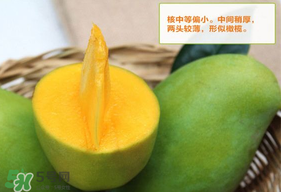 青芒果硬的能吃嗎？青芒果沒(méi)熟能吃嗎？