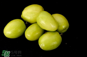 青棗什么時(shí)候上市？青棗什么時(shí)候成熟？