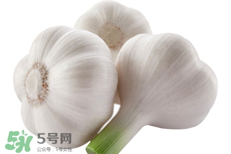 大蒜可以預(yù)防禽流感嗎？預(yù)防禽流感能吃大蒜嗎？
