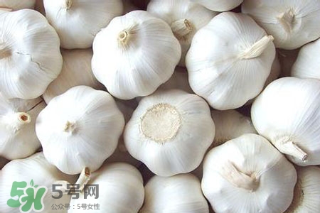 大蒜熱量是多少？吃大蒜會胖嗎？