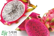 3月份有火龍果吃嗎？三月份可以吃火龍果嗎？
