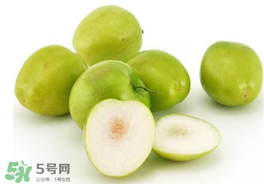 青棗可以泡酒嗎？青棗泡酒喝有什么好處？