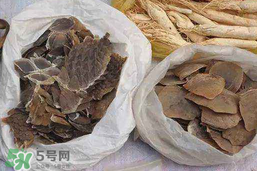 穿山甲下奶怎么吃？穿山甲下奶效果好嗎？