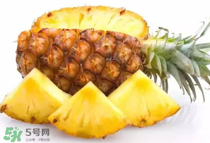 菠蘿批發(fā)多少錢一斤？菠蘿批發(fā)價格
