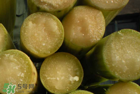 甘蔗要洗嗎？吃甘蔗時要用鹽水洗嗎？