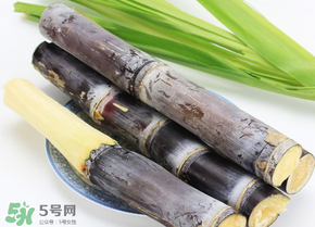 甘蔗為什么會(huì)變黑？甘蔗放久了為什么會(huì)變黑？