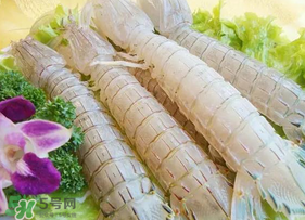皮皮蝦為什么沒有肉？皮皮蝦為什么里面沒肉？