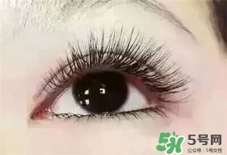 孕睫術(shù)是什么？孕睫術(shù)有用嗎？
