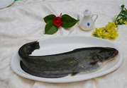 清江魚(yú)熱量高嗎？吃清江魚(yú)會(huì)胖嗎？