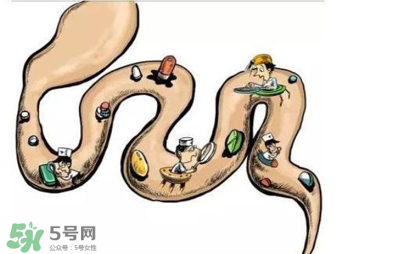 便秘吃什么藥好？便秘吃什么藥最快排便？