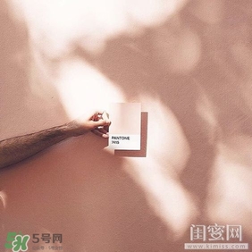 肉桂色口紅哪個(gè)牌子好？肉桂色口紅推薦