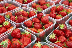 草莓爛了點皮可以吃嗎？草莓表皮發(fā)白是爛了嗎？