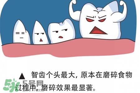 智齒經(jīng)常發(fā)炎怎么辦？智齒反復(fù)發(fā)炎腫痛怎么辦？