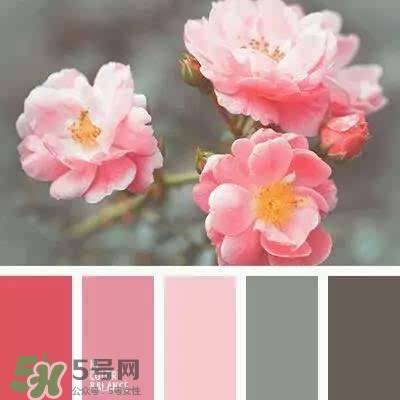 櫻花粉是什么顏色？櫻花粉口紅試色