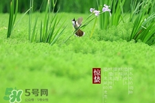 驚蟄吃什么蔬菜好？驚蟄節(jié)氣養(yǎng)生吃什么蔬菜？
