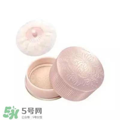 2017珠光散粉哪個(gè)牌子好？2017珠光散粉推薦